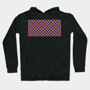 Tartan fantasy  16 Hoodie